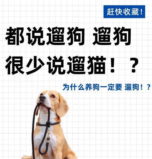 看完这篇你就懂了？