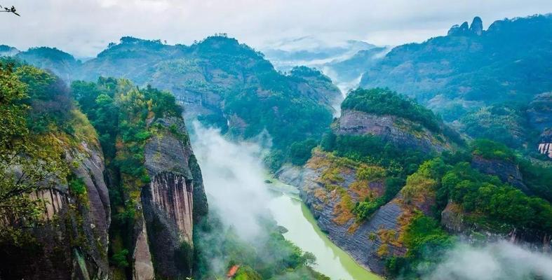 武夷山网站建设有哪些特色？如何打造具有地域特色的网站？