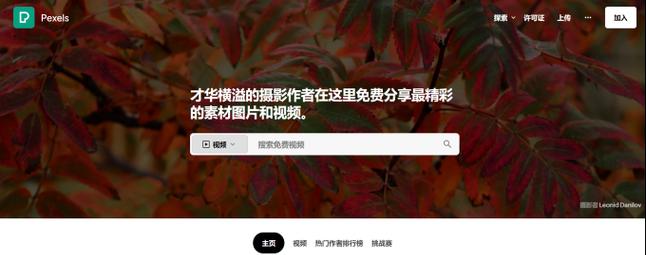视频素材网站如何使用？有哪些免费资源？