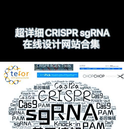 在线设计网站有哪些好用的工具？如何使用这些工具？