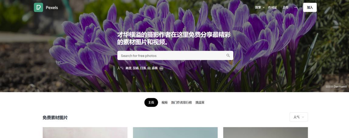 高清照片素材网站如何使用？有哪些技巧？