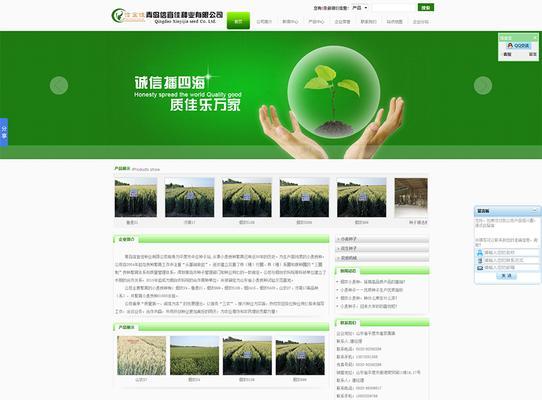 晋江SEO公司如何设定网站优化目标？优化过程中常见问题有哪些？