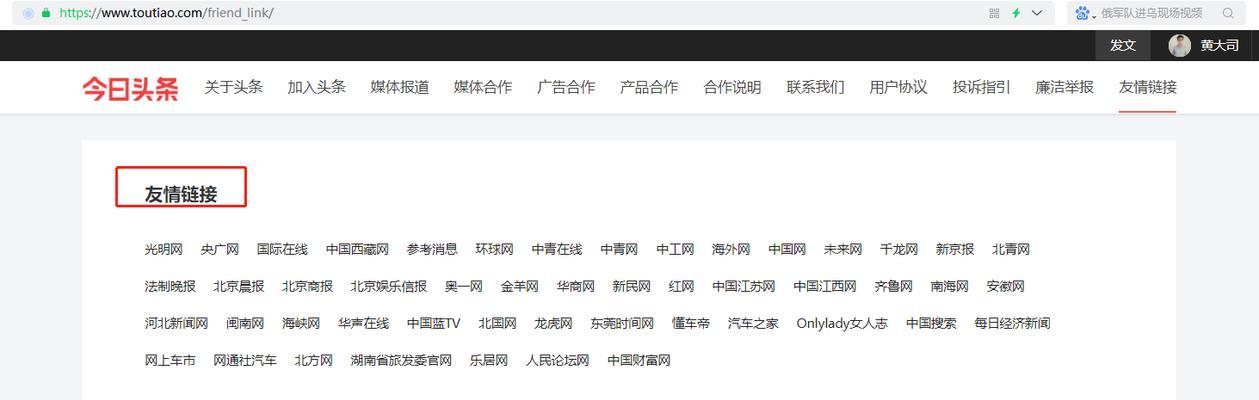 SEO菜鸟在做网站优化时常见问题有哪些？如何解决？