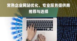 分内网站在seo推广中扮演什么角色？如何做出正确的抉择？