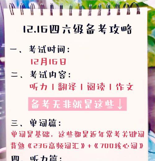 为什么两个半月了网站排名仍未提升？可能的原因是什么？