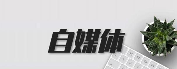 威宁seo是什么专业的？它属于哪个领域？