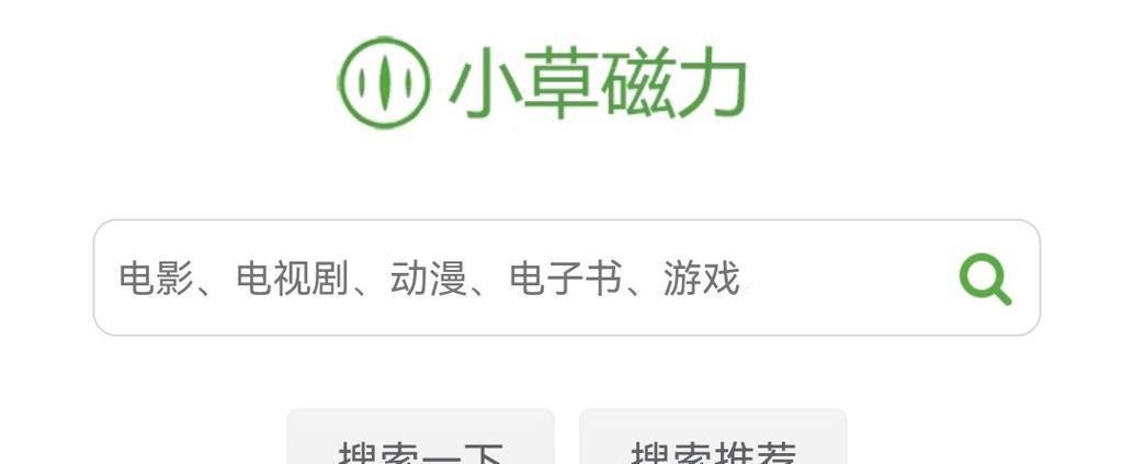 磁力搜索引擎网站国外有哪些？如何访问和使用？