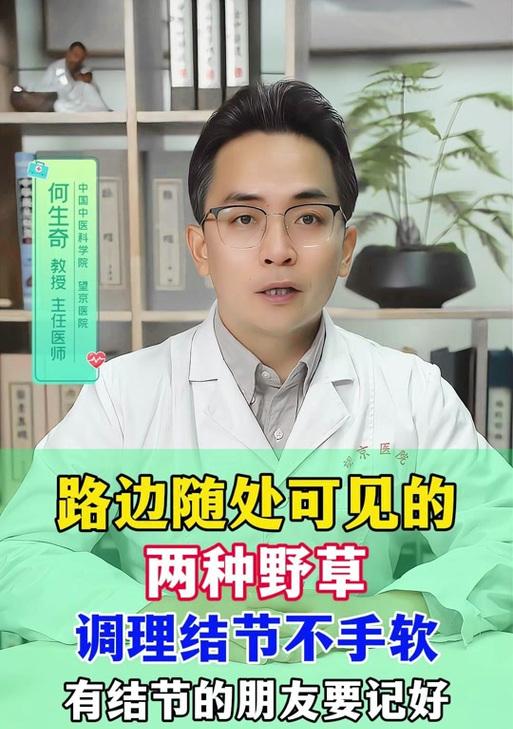 野草口令搜索引擎是如何工作的？