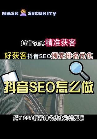 茶山抖音SEO排名榜单如何查看？