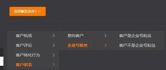 茶山抖音SEO排名榜单如何查看？