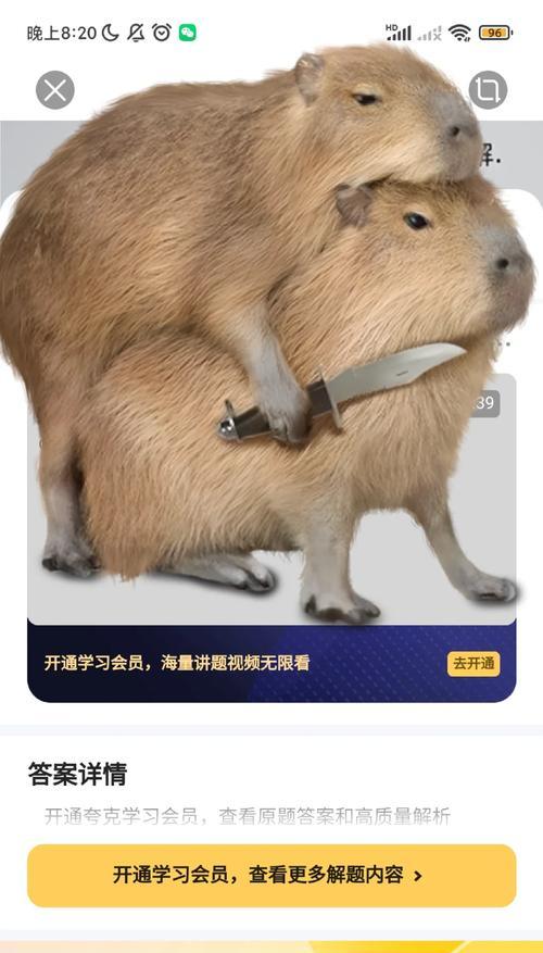 夸克有什么厉害的搜索引擎？夸克搜索引擎有哪些独特功能？