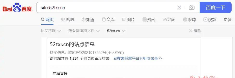 如何查看搜索引擎的收录排名？