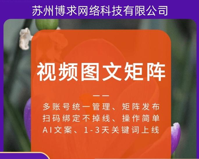 沙田seo矩阵是什么？如何构建有效的seo矩阵？