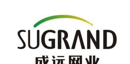 兖州区招聘品牌seo策划的条件是什么？