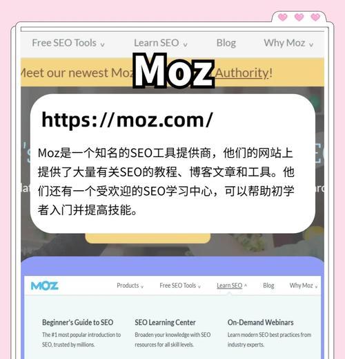 氯化胆碱在SEO中扮演什么角色？