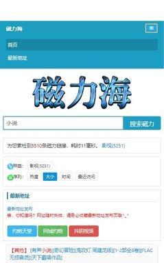 哪些磁力搜索引擎功能强大？