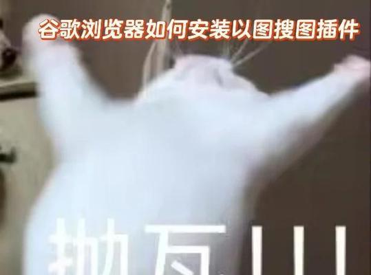 电脑如何进入谷歌搜索引擎？有哪些步骤？