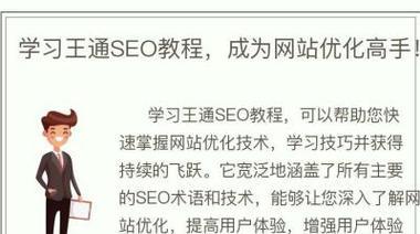如何快速成为seo高手？有哪些学习和实践的建议？