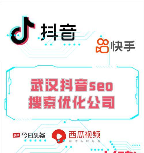 抖音seo优化有哪几种类型？如何选择适合自己的优化方式？