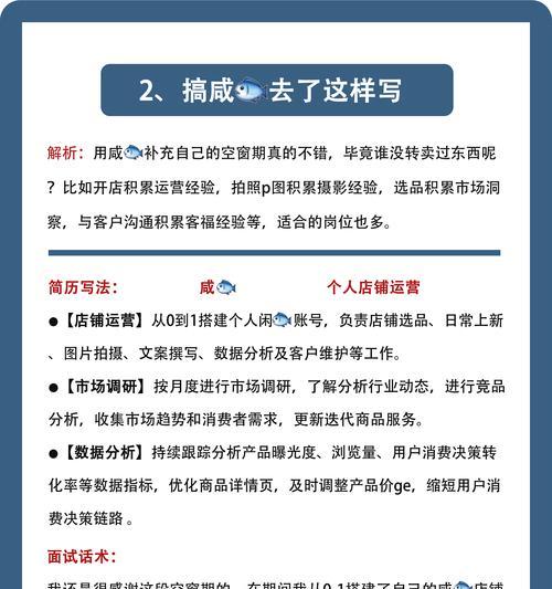 如何撰写网站概况的优化建议方案？