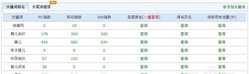 网站发布后如何记录和管理关键词？