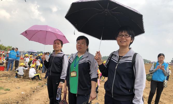 助农网站缺陷分析怎么写？如何有效识别并改进？
