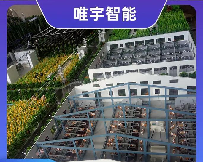 贵阳如何优化推广网站？有哪些有效策略？