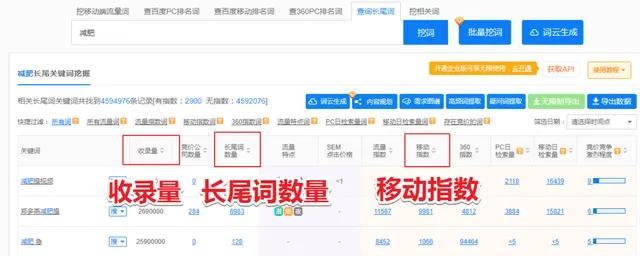 怎么挖掘网站关键词收录？有效提升网站SEO排名的策略是什么？
