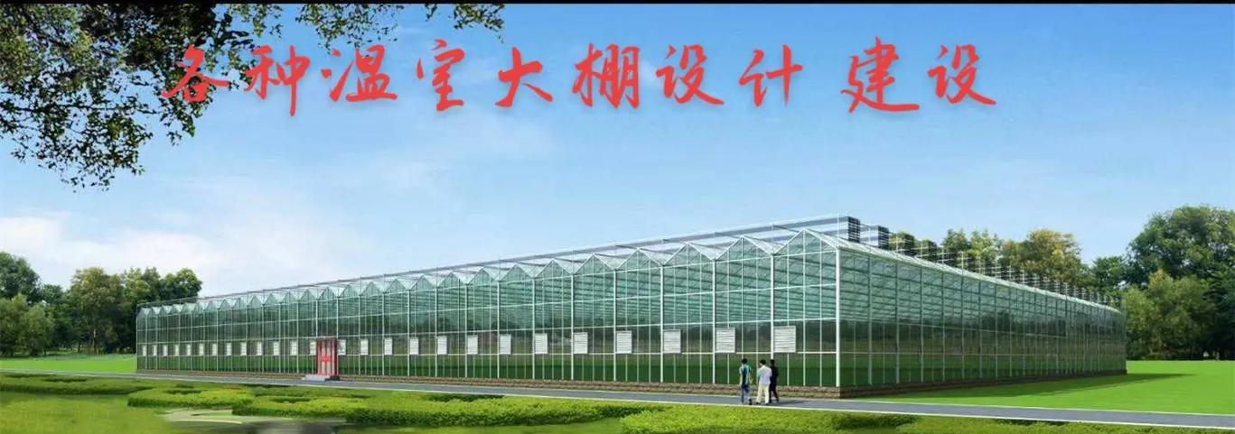 寿光营销网站建设怎么样？如何选择合适的建站服务？