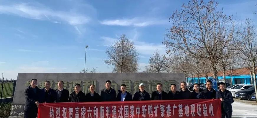高密公司网站如何做推广？有哪些有效策略？