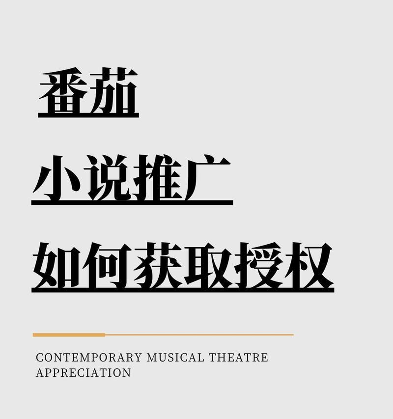 如何有效进行付费小说网站推广？常见问题有哪些？
