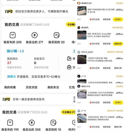 闲鱼网站开发如何推广赚钱？有哪些有效策略？