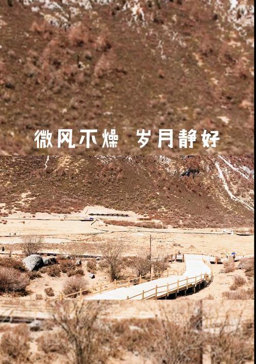 西藏短视频优化怎么做？有哪些有效策略？
