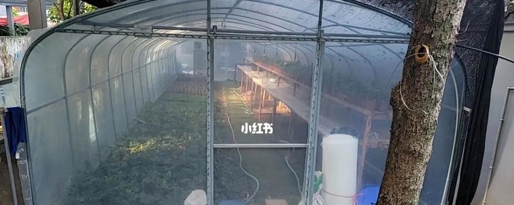 小红书摘花视频怎么剪辑？视频剪辑技巧有哪些？