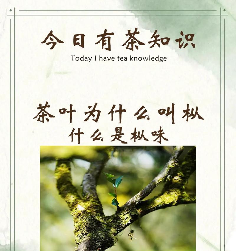 茶叶抖音剪辑怎么做的呢？视频编辑技巧有哪些？