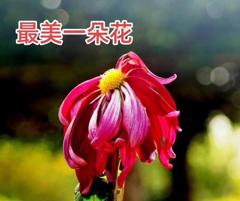 花抖音边唱边剪辑的正确方法是什么？