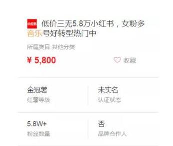 小红书剪辑如何赚钱？有哪些盈利方式？