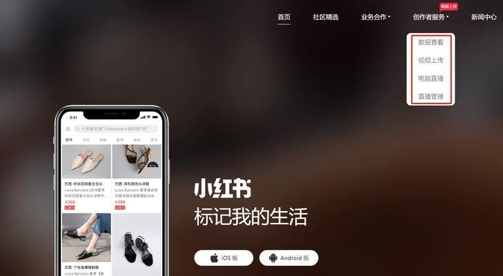 剪辑的视频在小红书发布时为何体积变大？如何优化视频大小？