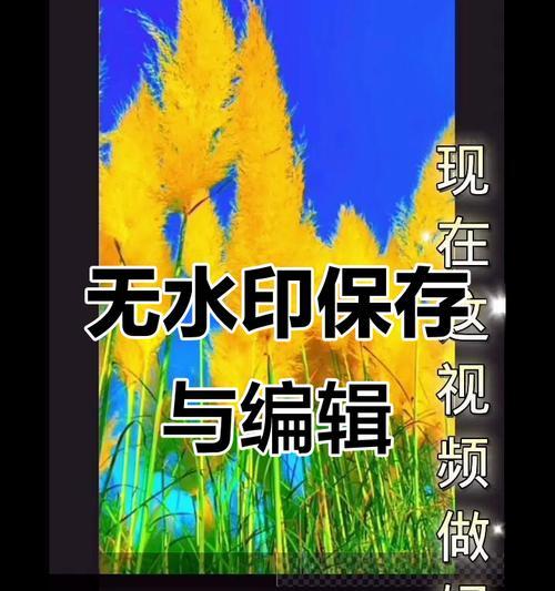 快手视频如何制作慢动作效果？步骤是什么？