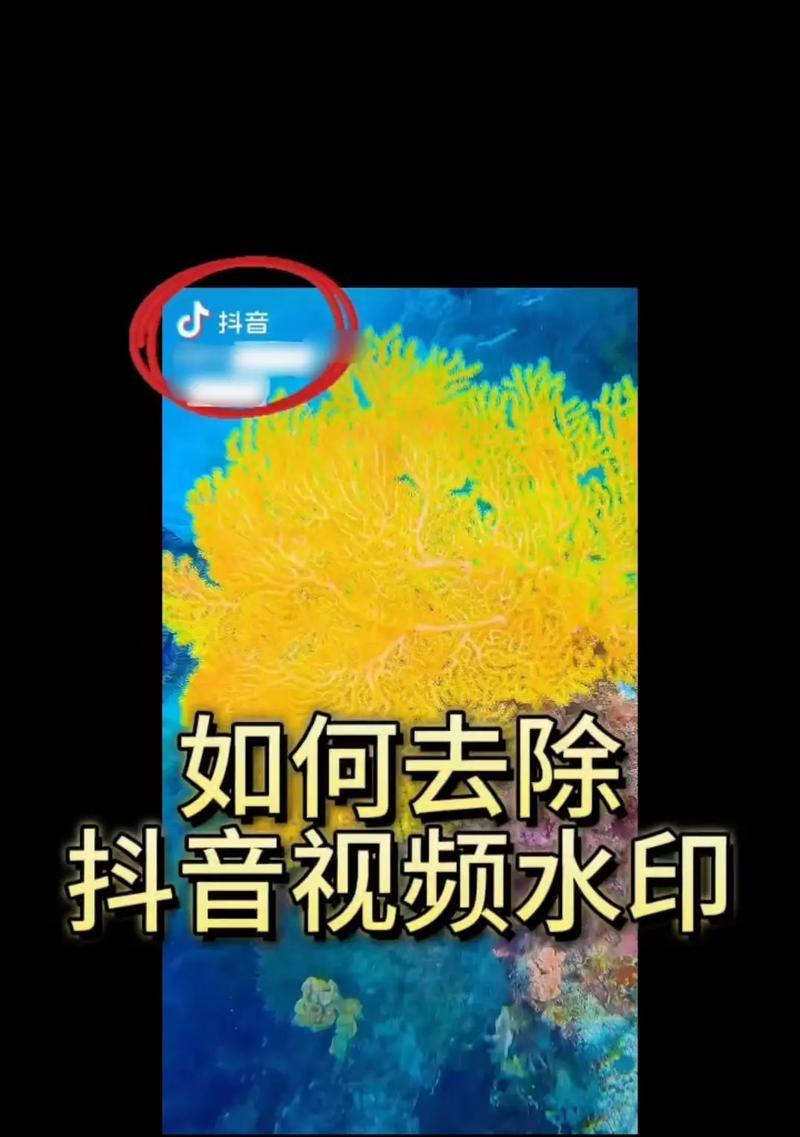 抖音视频去水印技巧？如何快速去除视频中的水印？