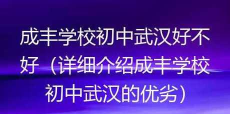 学校网站优劣分析怎么写？如何评估学校网站的性能和用户体验？