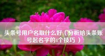 起名网站分析怎么写？如何确保分析结果的准确性？