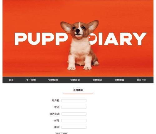 HTML图片大小单位有哪些？如何选择合适的图片尺寸单位？