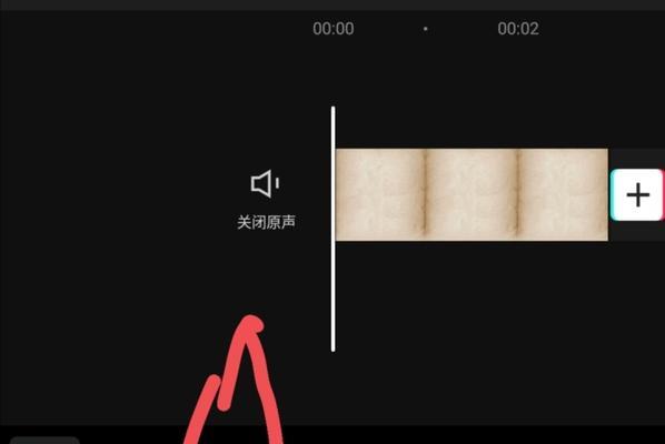 抖音视频剪辑比例调整方法？如何确保视频比例正确？
