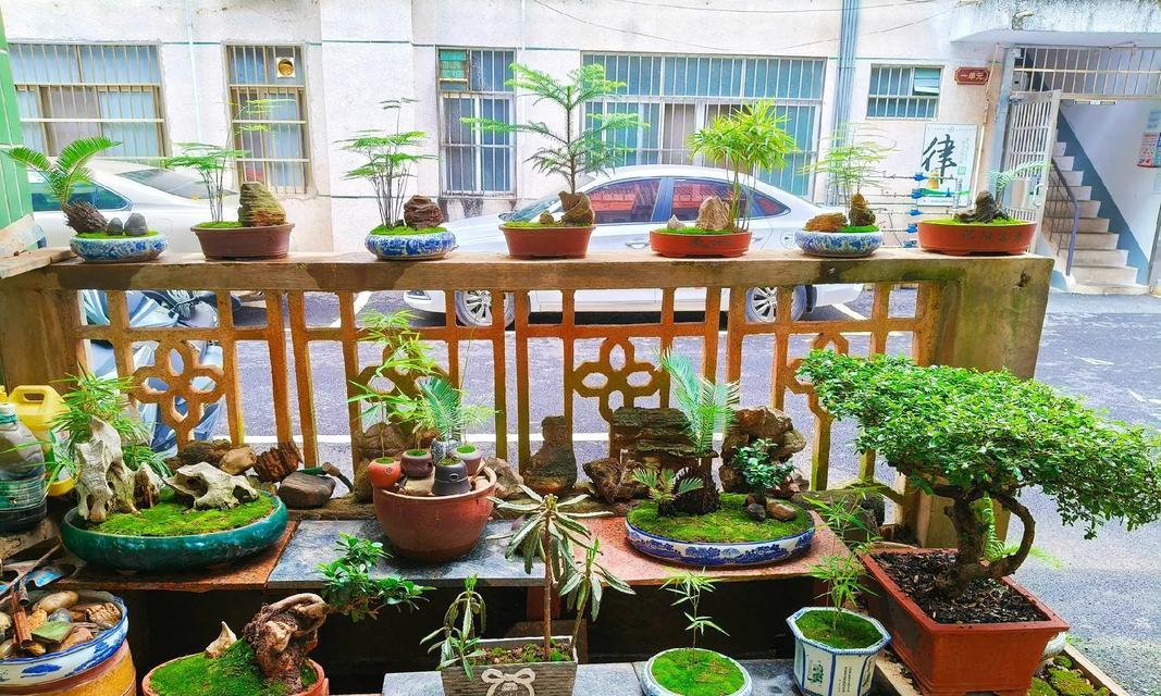 雅致抖音剪辑版无法使用？常见问题及解决方法是什么？