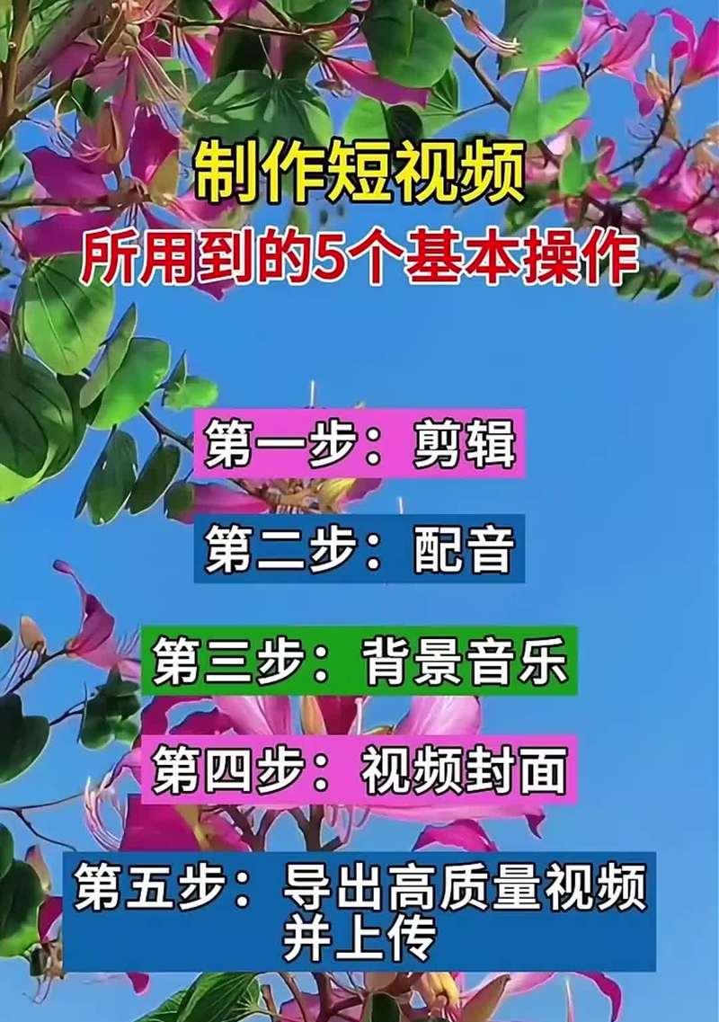 小红书百科视频剪辑怎么做？教程步骤是什么？