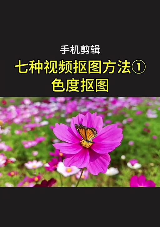 抖音图片调色线调整技巧是什么？如何快速掌握调色线使用方法？