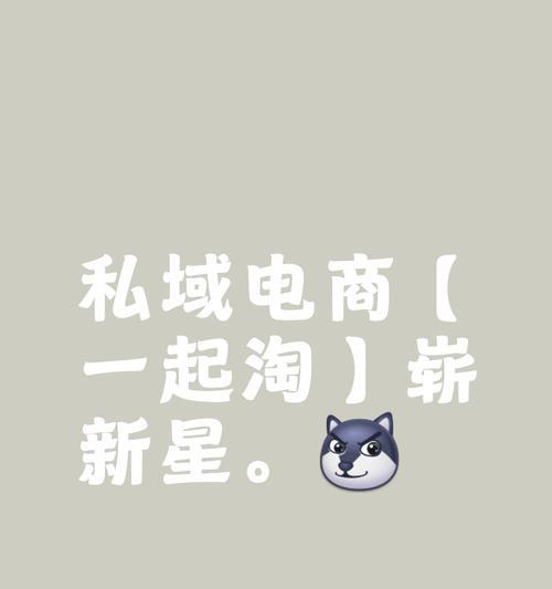 淘客网站如何推广？有哪些有效策略和方法？