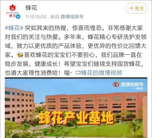蜂花网站营销方案怎么写？如何制定有效的营销策略？