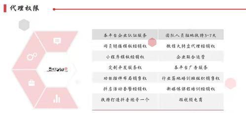如何有效推广招聘网站以吸引更多流量？引流策略有哪些？